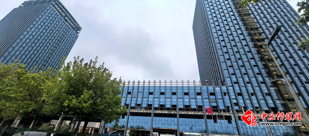 未命名_副本11.jpg